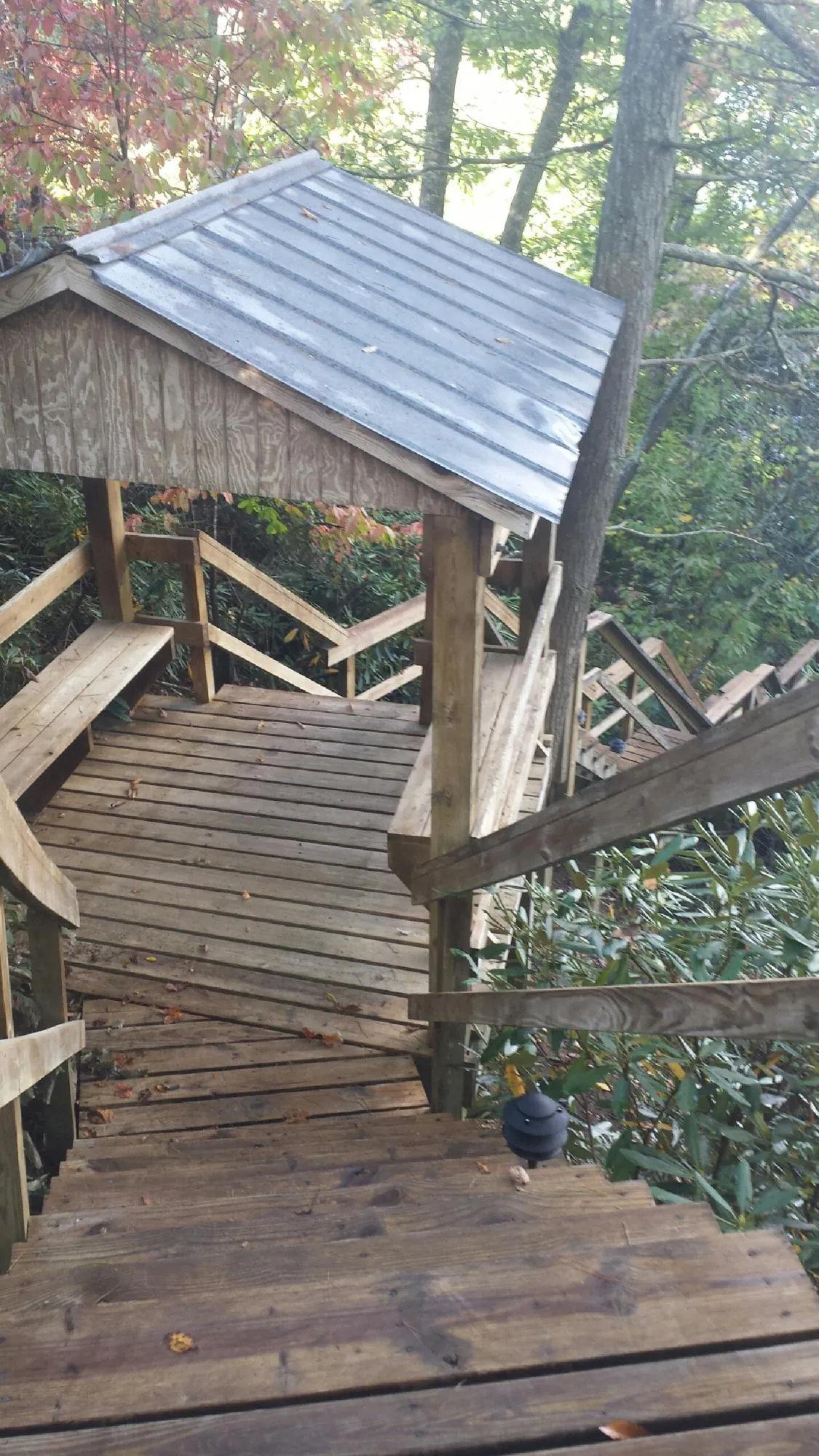 Metal roofed shelter over wooden steps on a wooded walkway — Skylight Repair & Installation work by our crew in Trufant