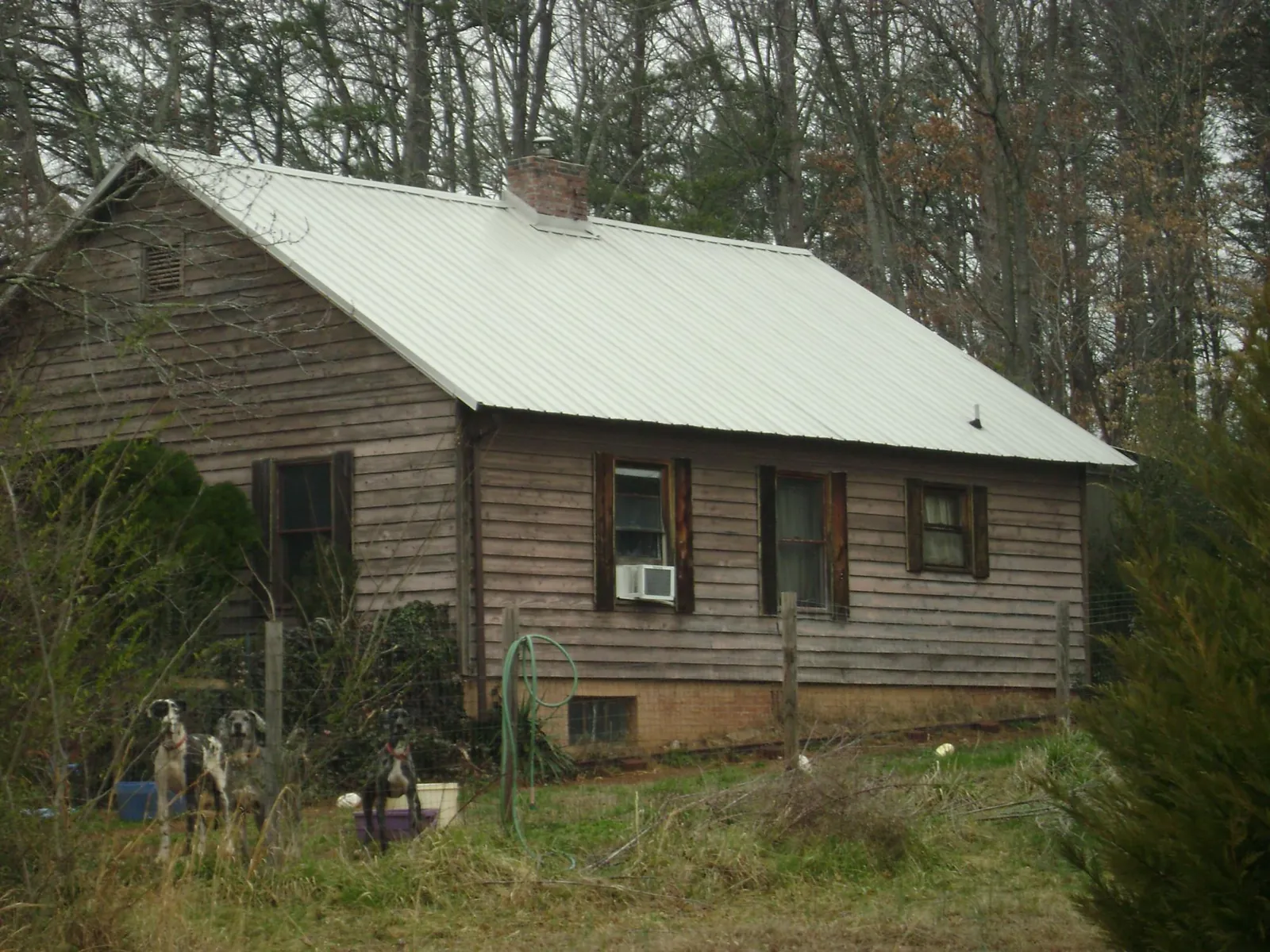 White metal roof on an old wood sided farmhouse, from a Metal Roof Installation job in Trufant